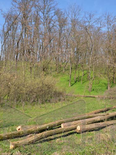 Foto: Defrisari sit Natura 2000